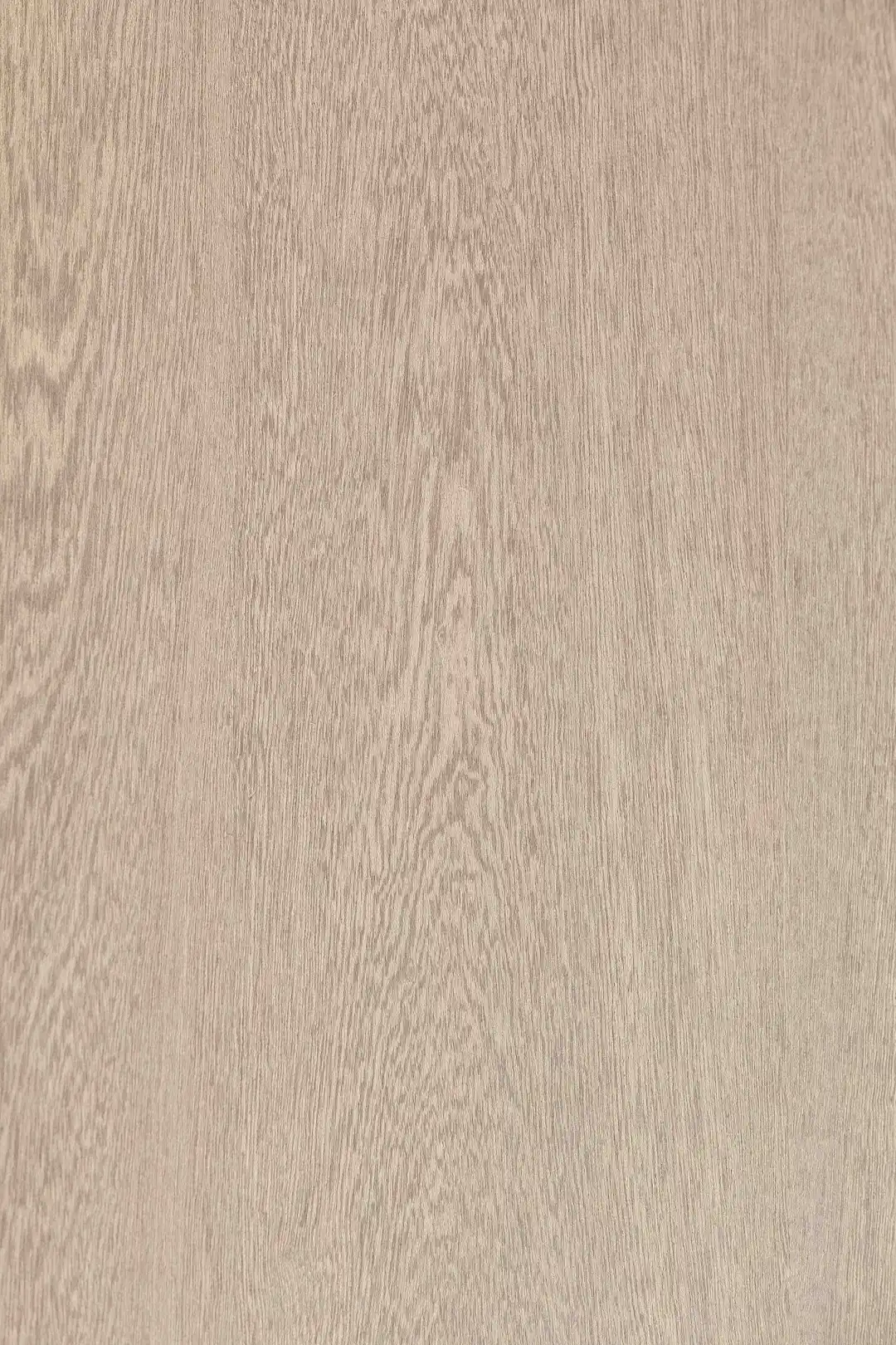 Sand Ash Laminate Sheet India – Laminate Cloud