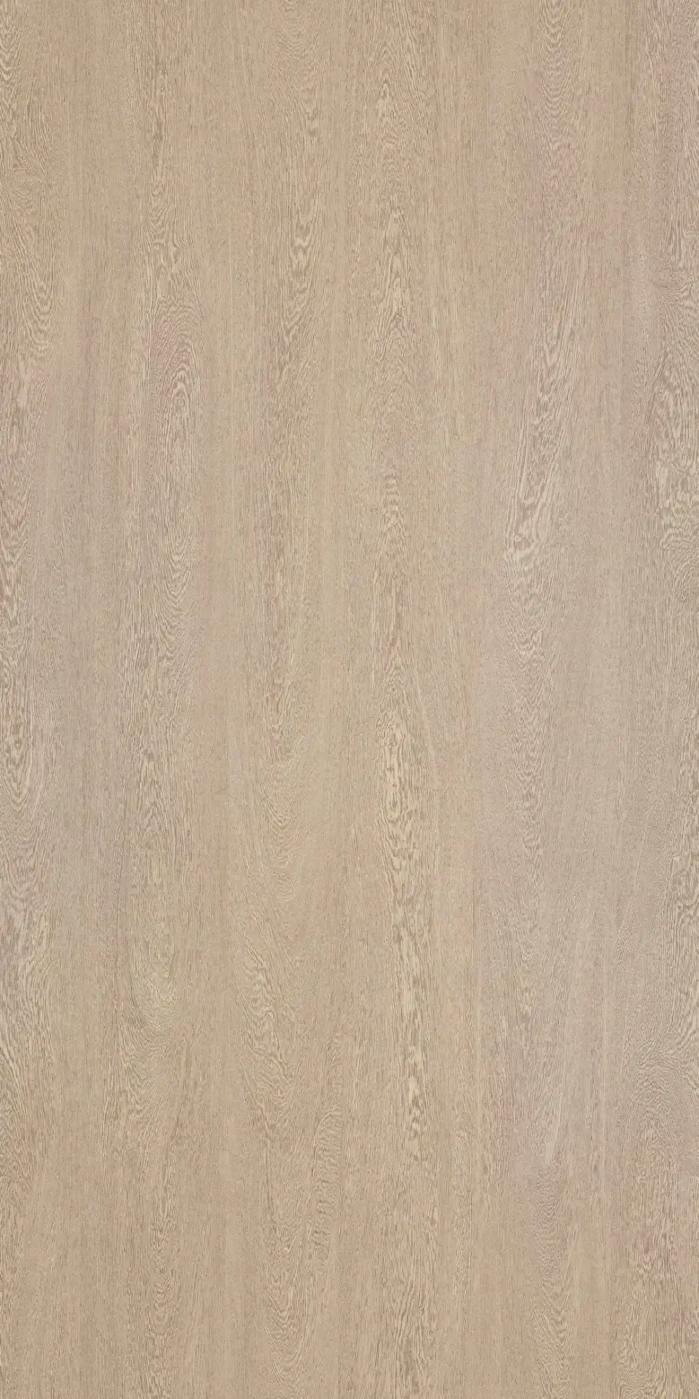Sand Ash Laminate Sheet India – Laminate Cloud