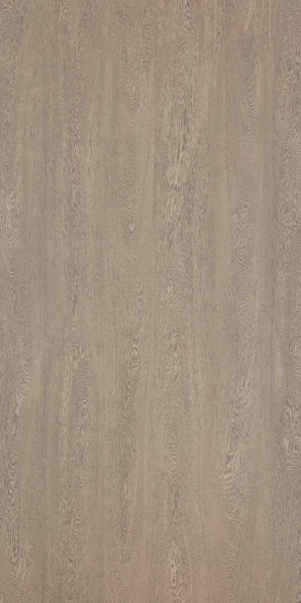 Ash Wood Finish Laminate Sheet India – Laminate Cloud
